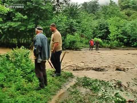 სტიქია ,,ვანში''